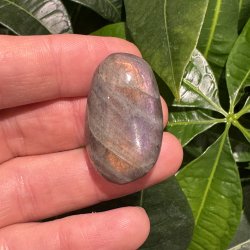 Labradorit jumbo mini