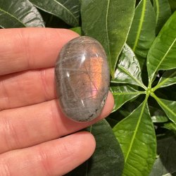 Labradorit jumbo mini