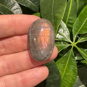Labradorit jumbo mini