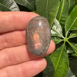 Labradorit jumbo mini