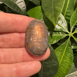 Labradorit jumbo mini