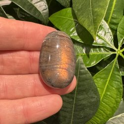 Labradorit jumbo mini