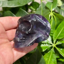 Fluorit skull