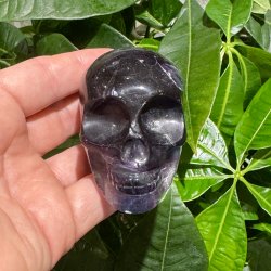 Fluorit skull