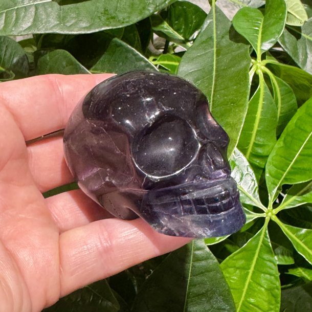 Fluorit skull