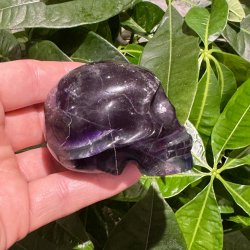 Fluorit skull