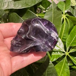 Fluorit skull
