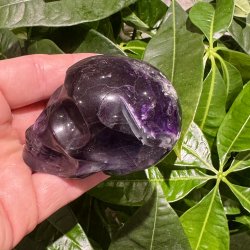 Fluorit skull