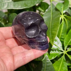 Fluorit skull