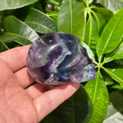 Fluorit skull