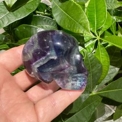 Fluorit skull