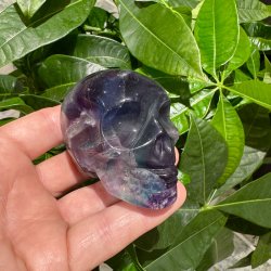Fluorit skull