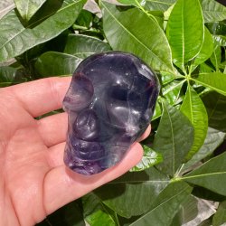 Fluorit skull