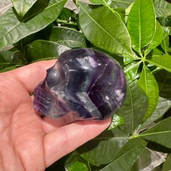 Fluorit skull