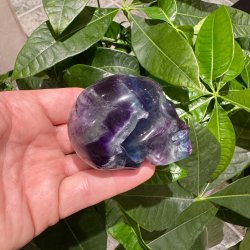 Fluorit skull
