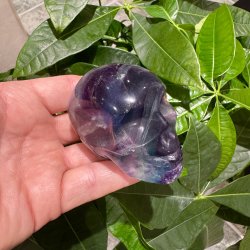 Fluorit skull