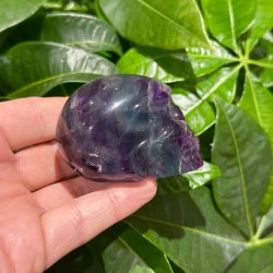 Fluorit skull