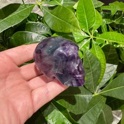 Fluorit skull