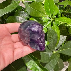 Fluorit skull