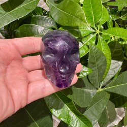 Fluorit skull