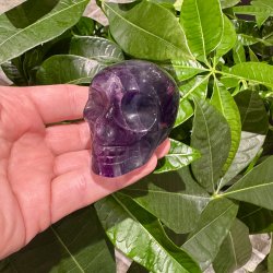 Fluorit skull