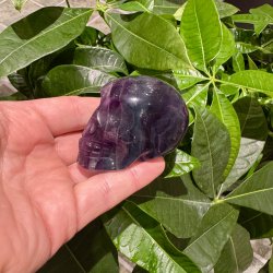 Fluorit skull
