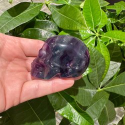Fluorit skull