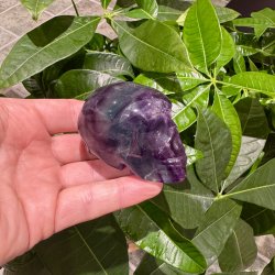 Fluorit skull