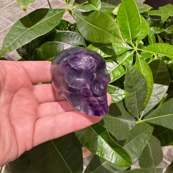 Fluorit skull