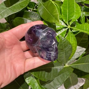 Fluorit skull
