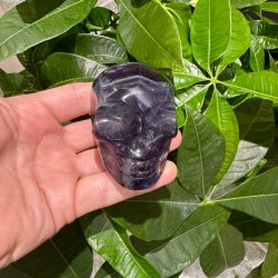 Fluorit skull