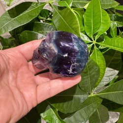 Fluorit skull