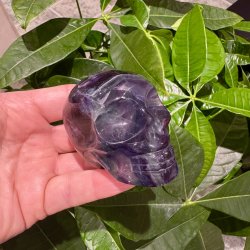 Fluorit skull