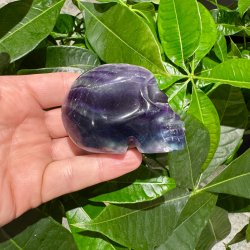 Fluorit skull