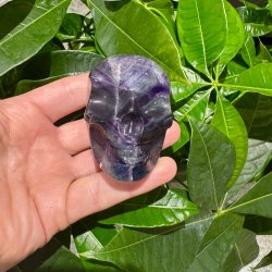 Fluorit skull