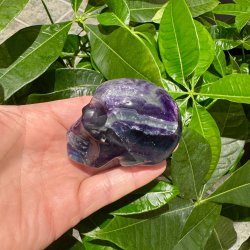Fluorit skull