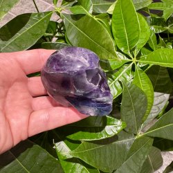 Fluorit skull