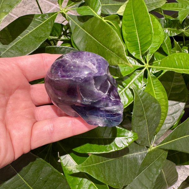 Fluorit skull