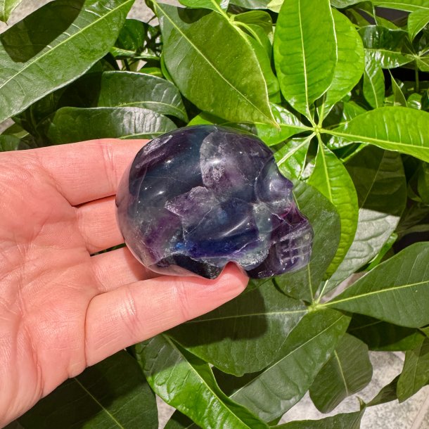 Fluorit skull
