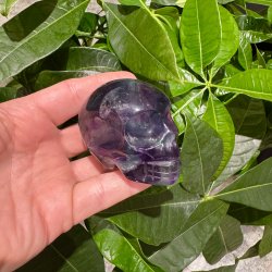 Fluorit skull