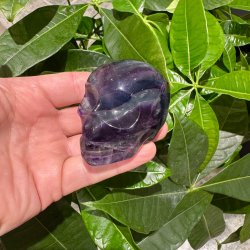 Fluorit skull