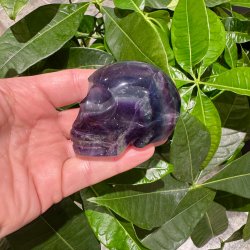 Fluorit skull