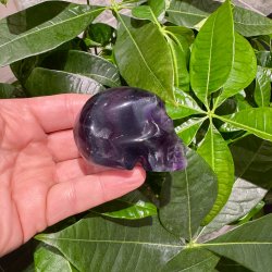 Fluorit skull