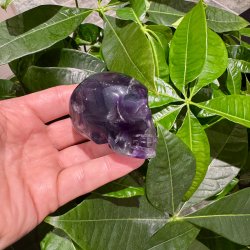 Fluorit skull