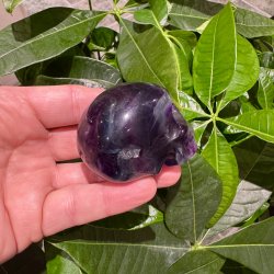 Fluorit skull