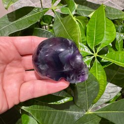 Fluorit skull