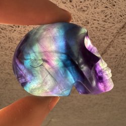 Fluorit skull