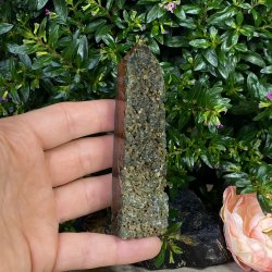 Hav jaspis trn 115mm