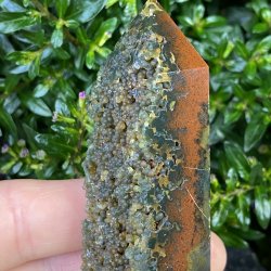 Hav jaspis trn 115mm