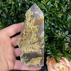 Hav jaspis t�rn 137mm